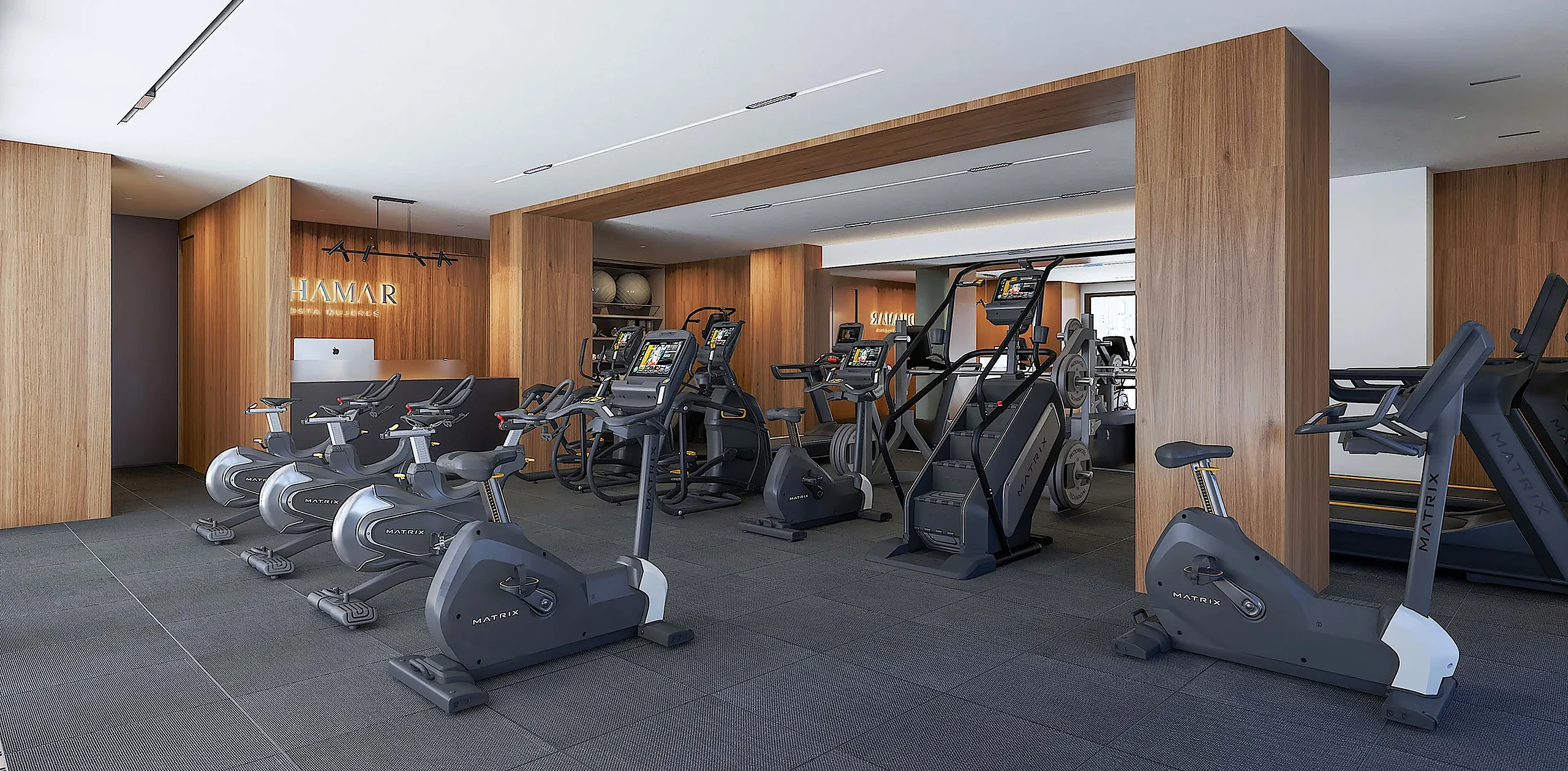 Gimnasio DHAMAR
