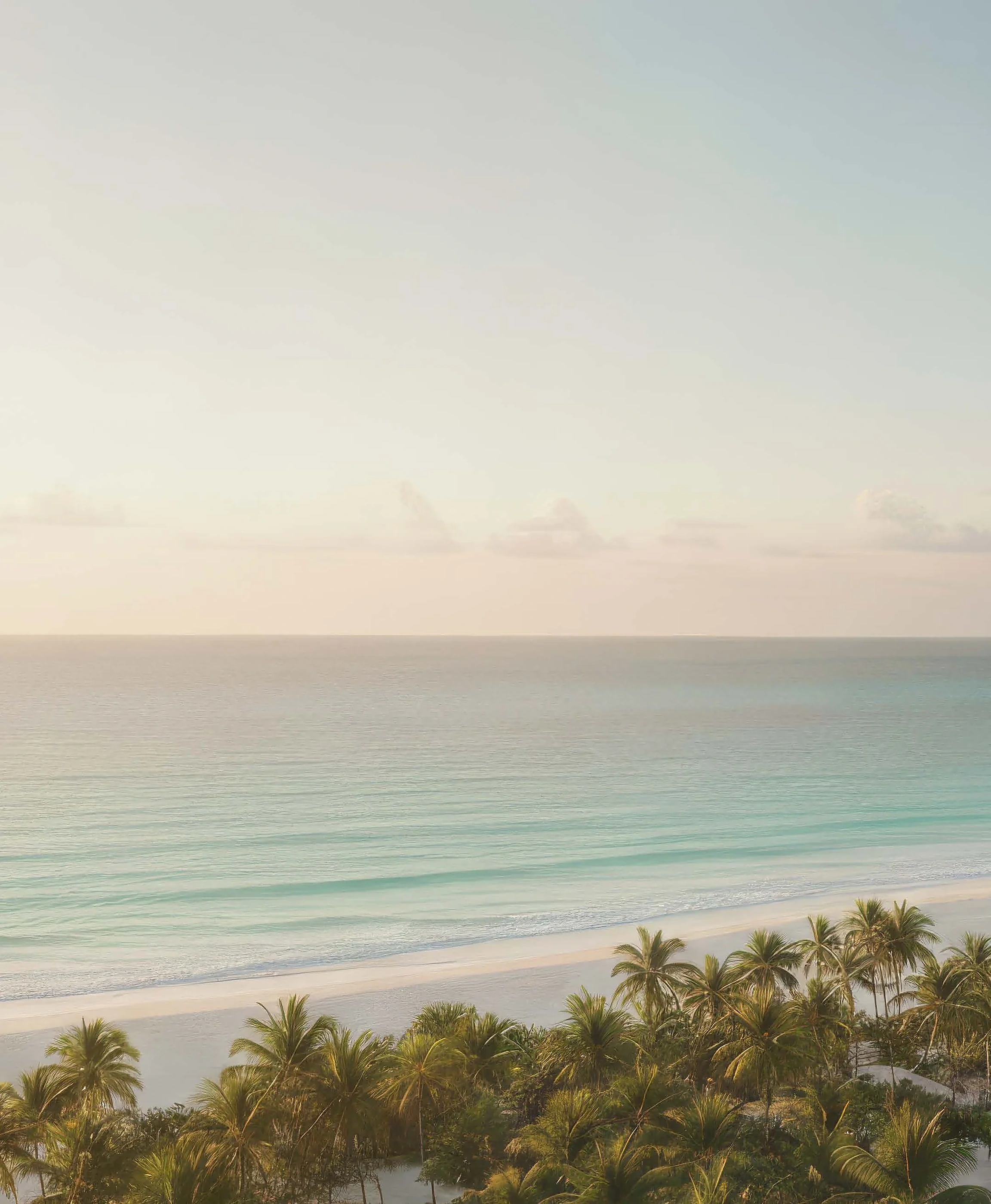 Mar Caribe y naturaleza en Costa Mujeres